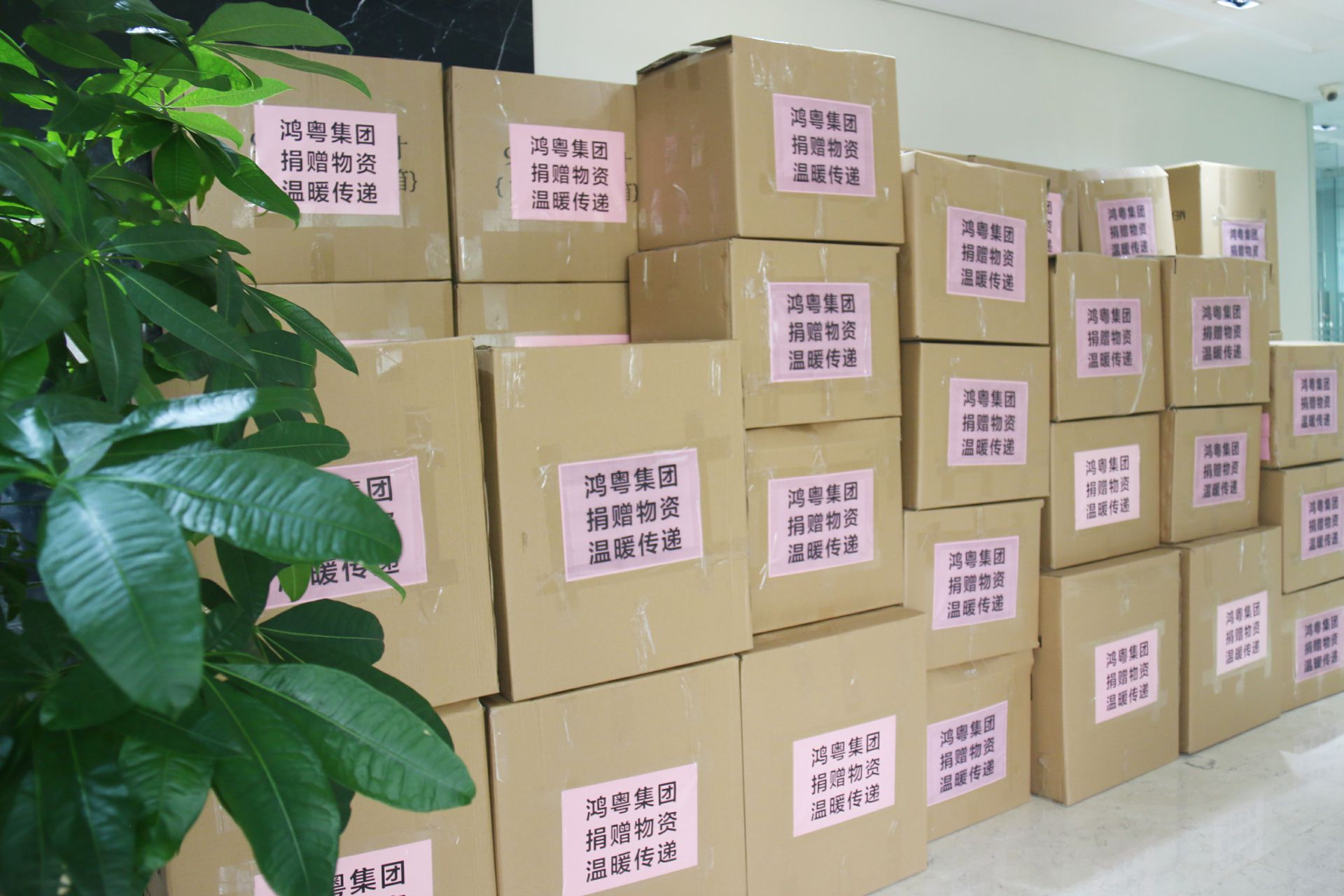 哈尔滨俊峰数字内容创作有限公司公益回顾丨家国同欢月同圆 温暖满载甘孜州(图1)